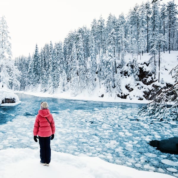 Finnland Signature: Polar Lights im Nature Igloo