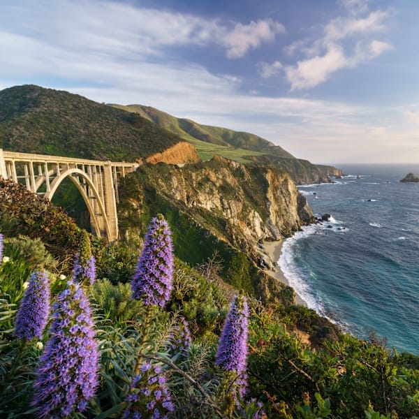 Roadtrip California: Golden Gate meets Hollywood Hills