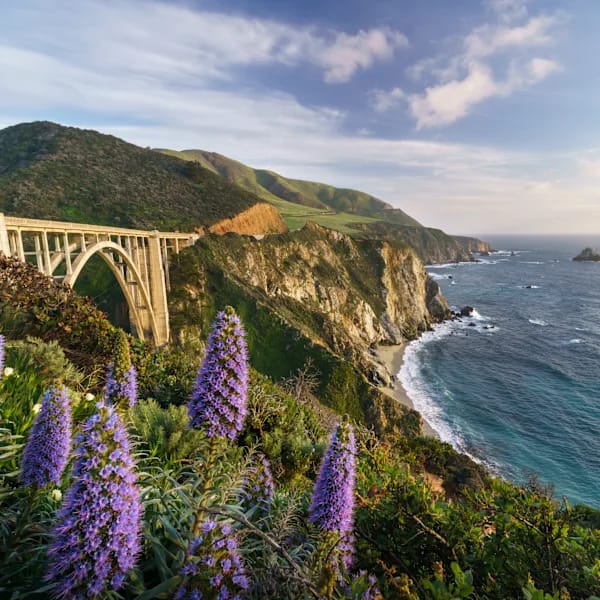 Roadtrip California: Golden Gate meets Hollywood Hills