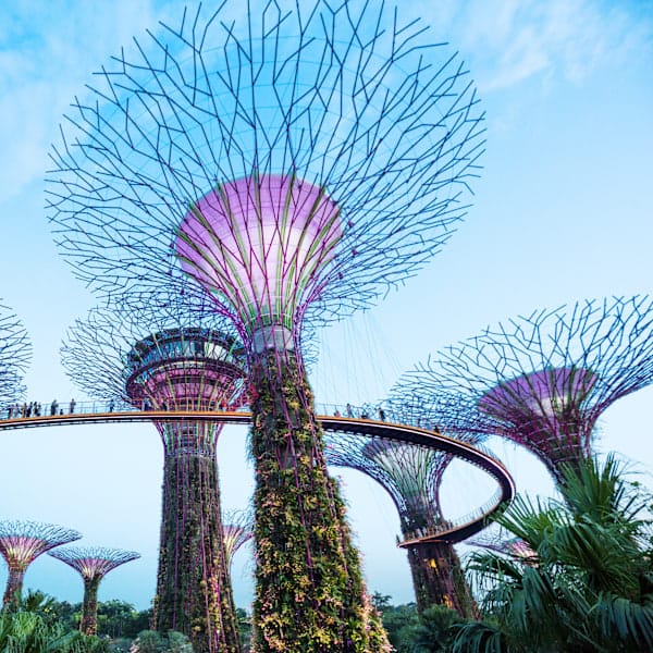 Azië countryhoppen: palmbomen & rooftop uitzichten