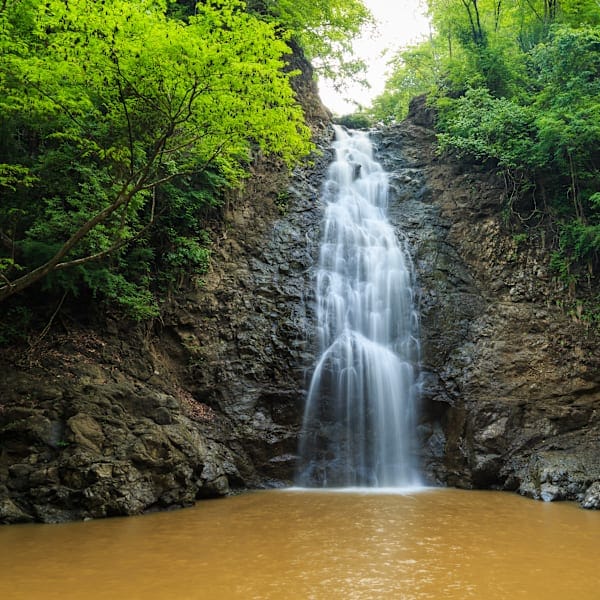 Costa Rica Roadtrip: Jungle Nights & Pura Vida!