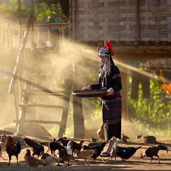 2 for 1 Laos: Nature Escape trifft Bangkok