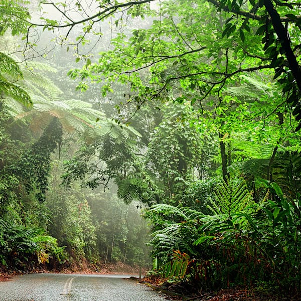 Australië roadtrip: cruisen langs de oostkust