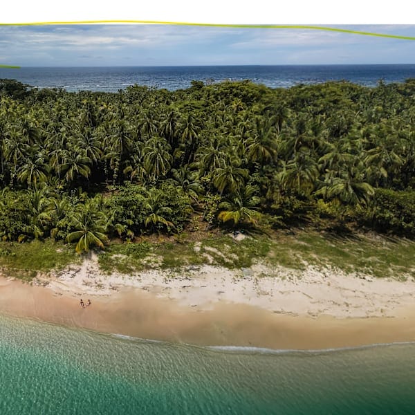 Costa Rica & Panama: roadtrip naar het cloud forest