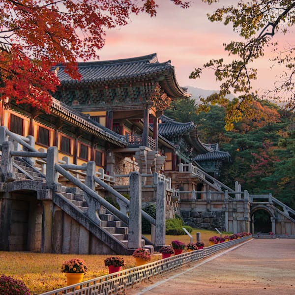 Südkorea & Japan: Cityhopping zum Mount Fuji