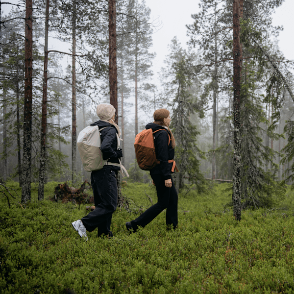 Lappland Roadtrip: Im Licht der Mitternachtssonne