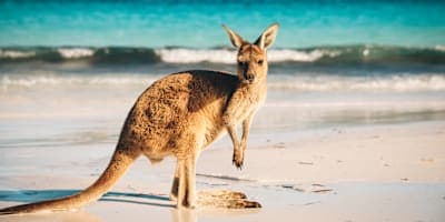Australien