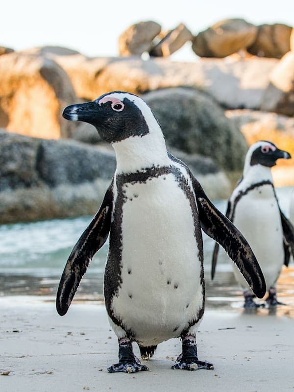 Trip card background image