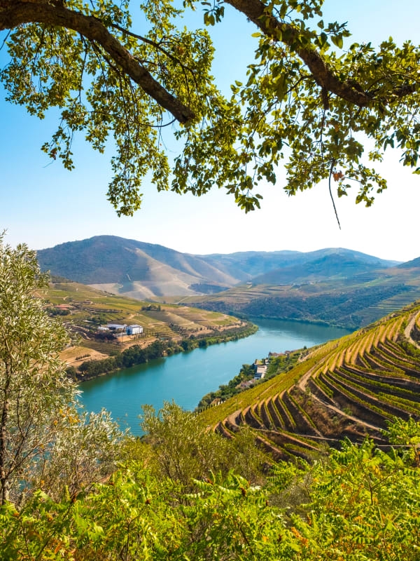 Noord-Portugal roadtrip