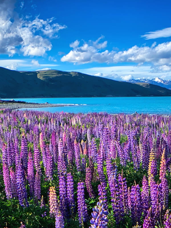 Australien & Neuseeland