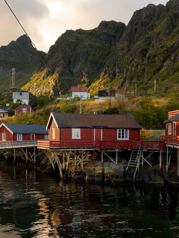 Lofoten & Oslo