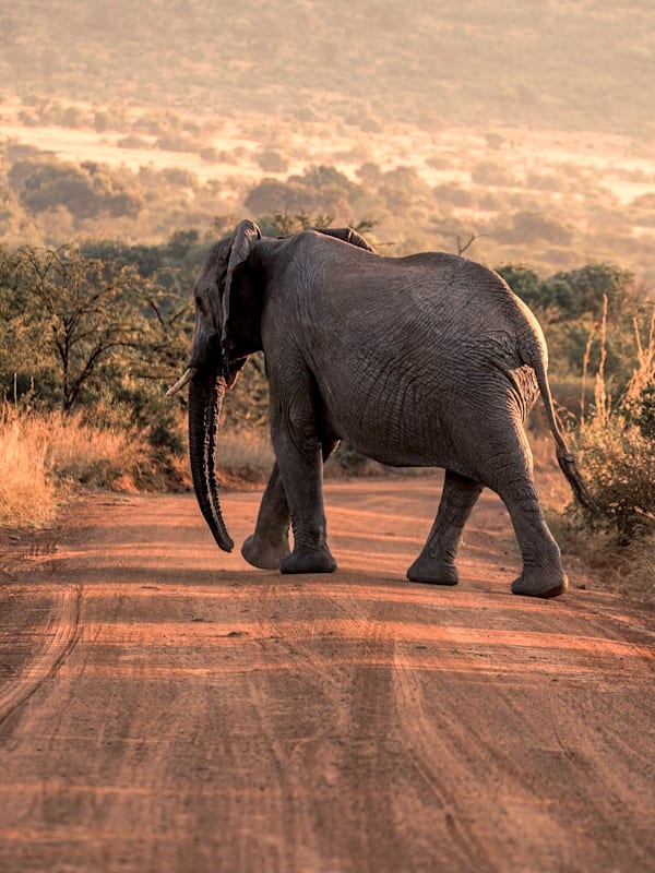 South Africa road trip