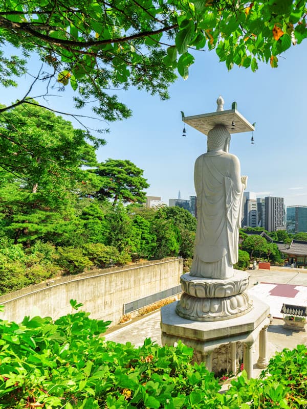 Trip card background image