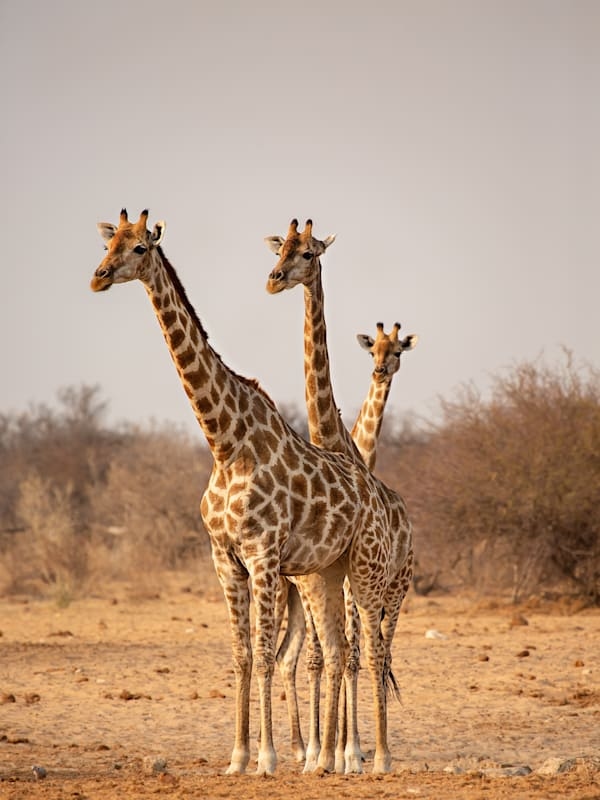Namibia Bucketlist