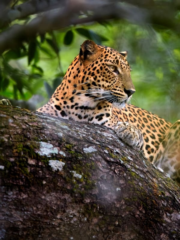 Sri Lanka Bucketlist