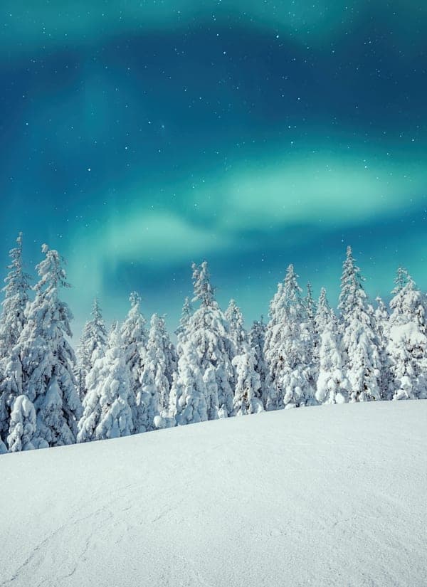 Zweden & Finland: naar het noorderlicht van Lapland