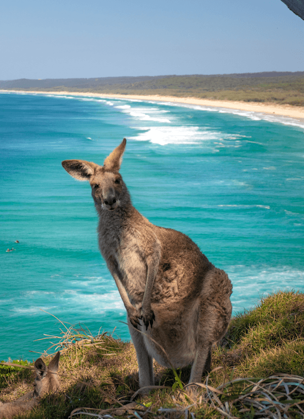 Australië roadtrip: naar zee & regenwoud via Queensland