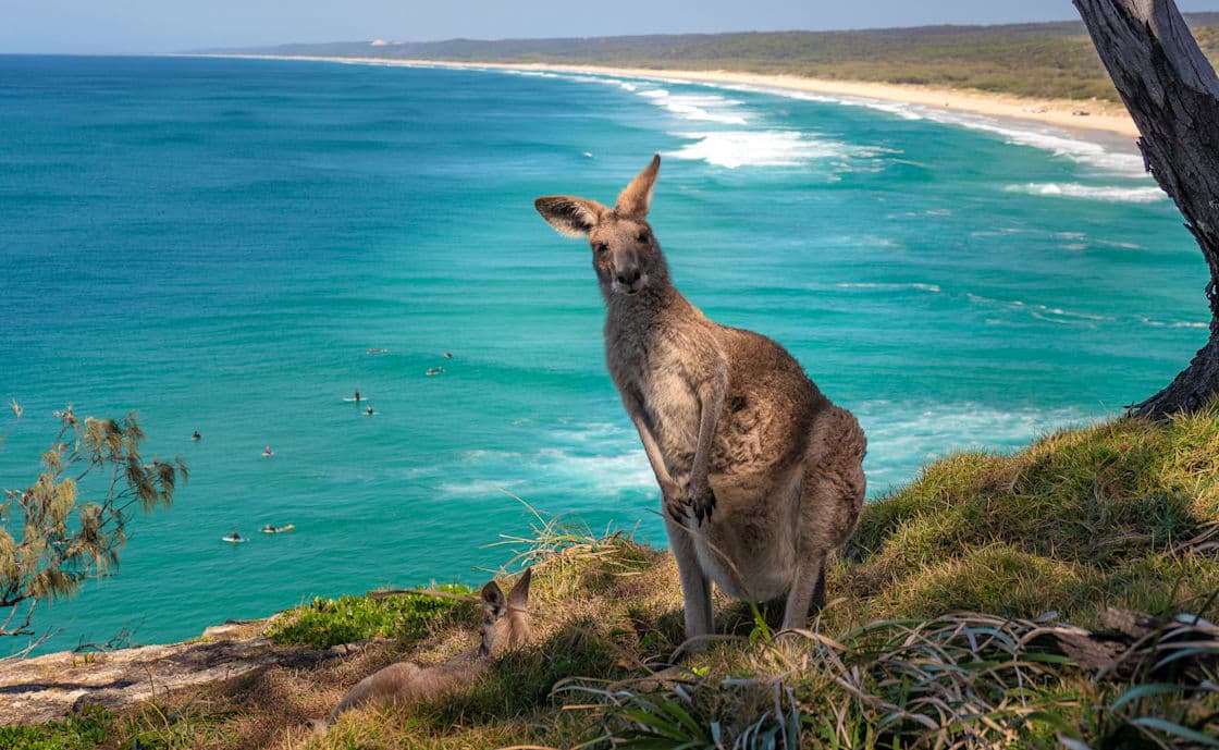 Entdecke Queensland