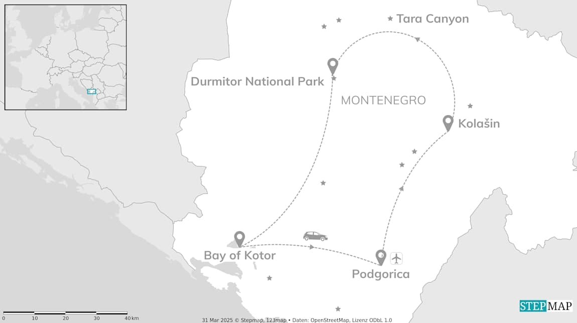 Could not load trip map.