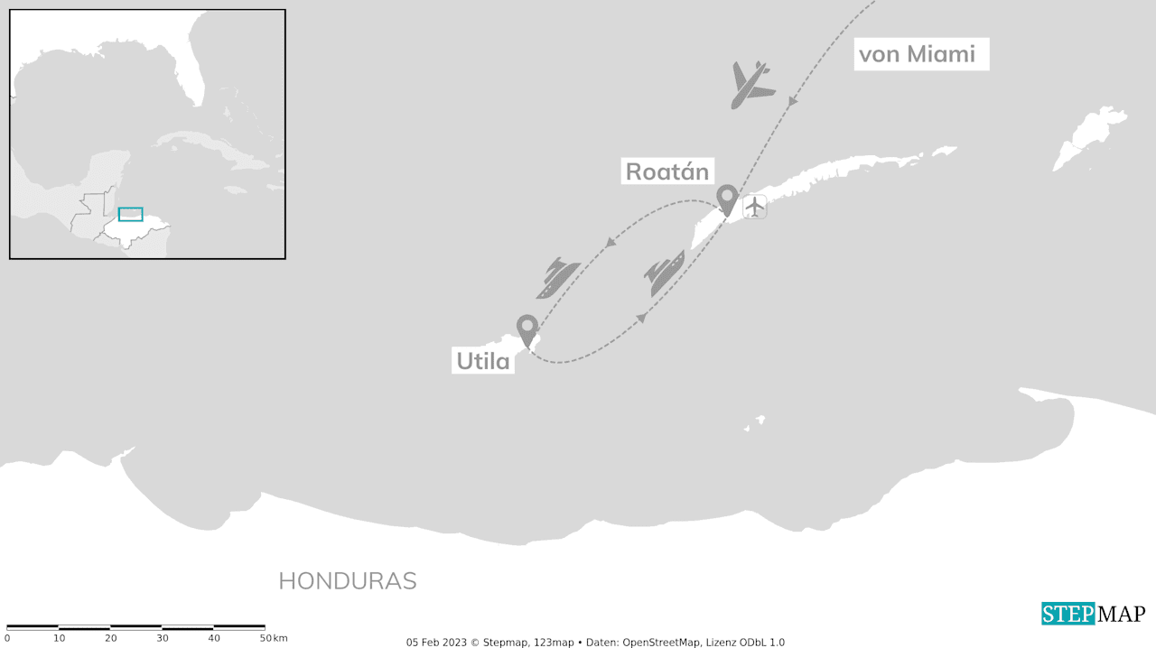 Could not load trip map.