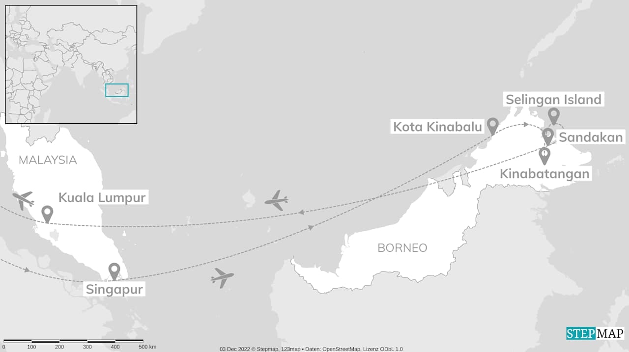 Could not load trip map.