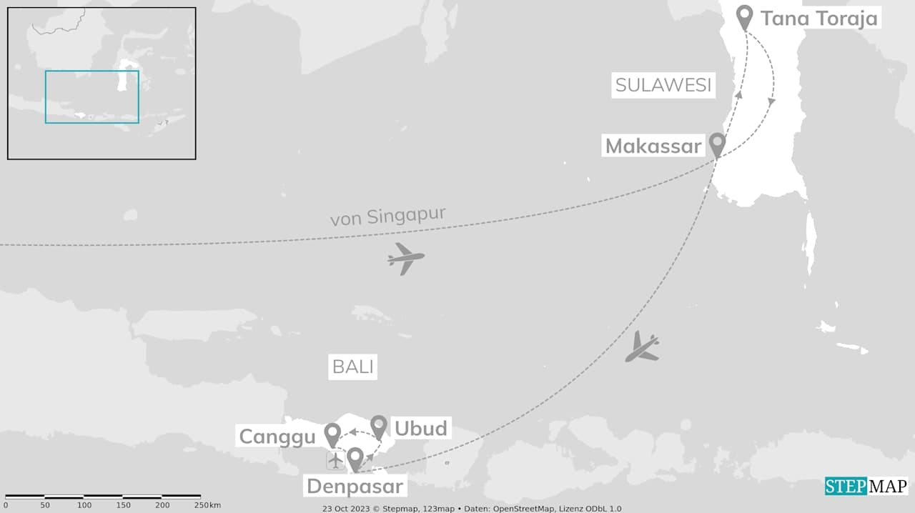 Could not load trip map.