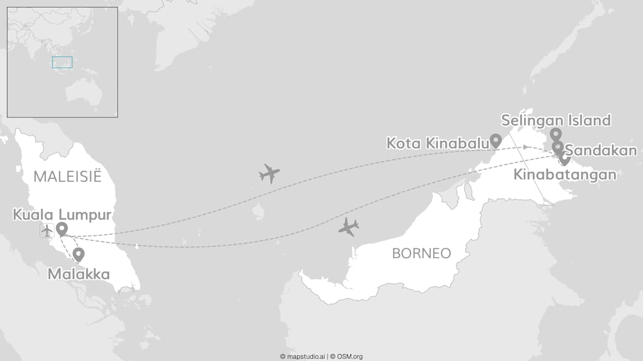 Ontdek Maleisië: de junglegeheimen van Borneo
