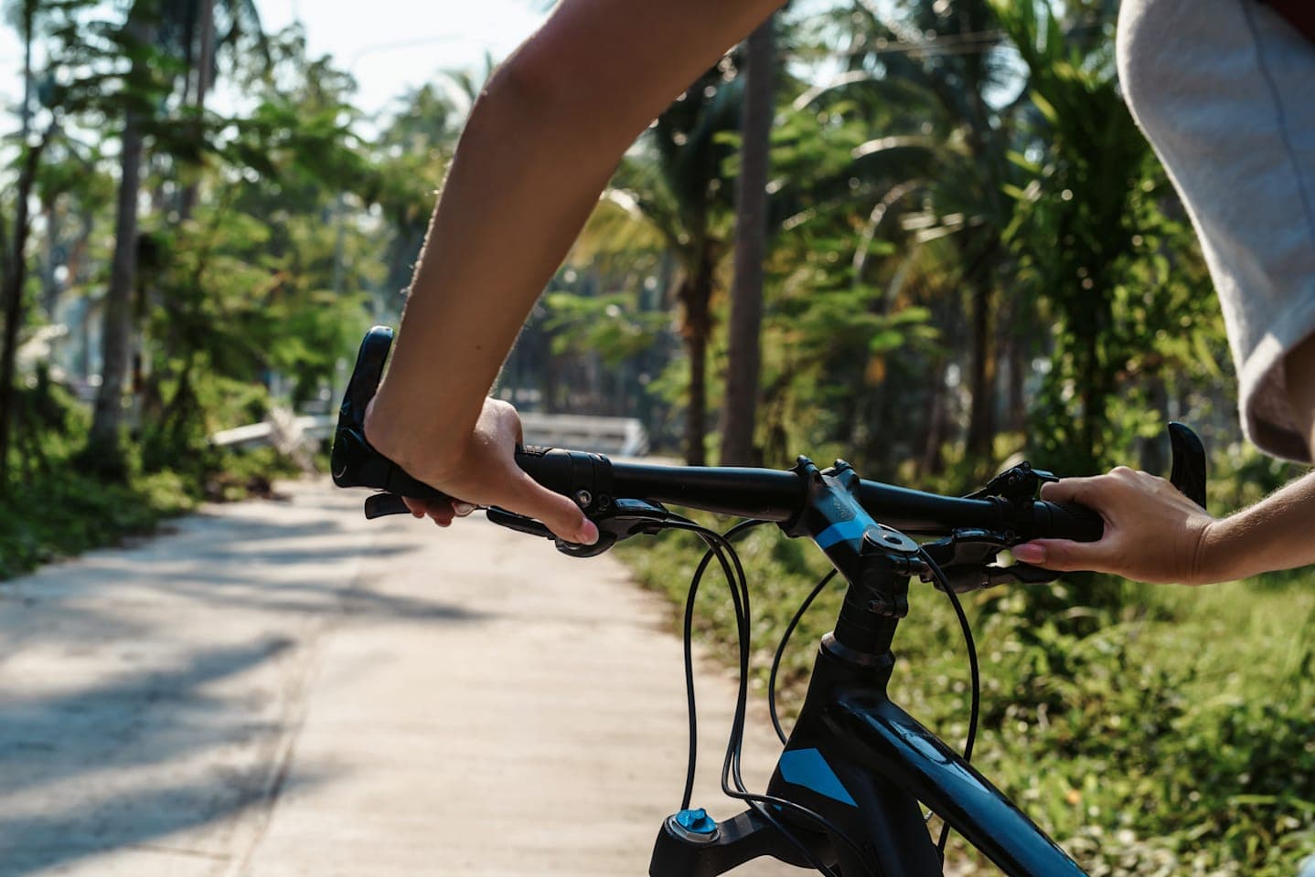 Bike Tour von Kintamani nach Ubud thumbnail