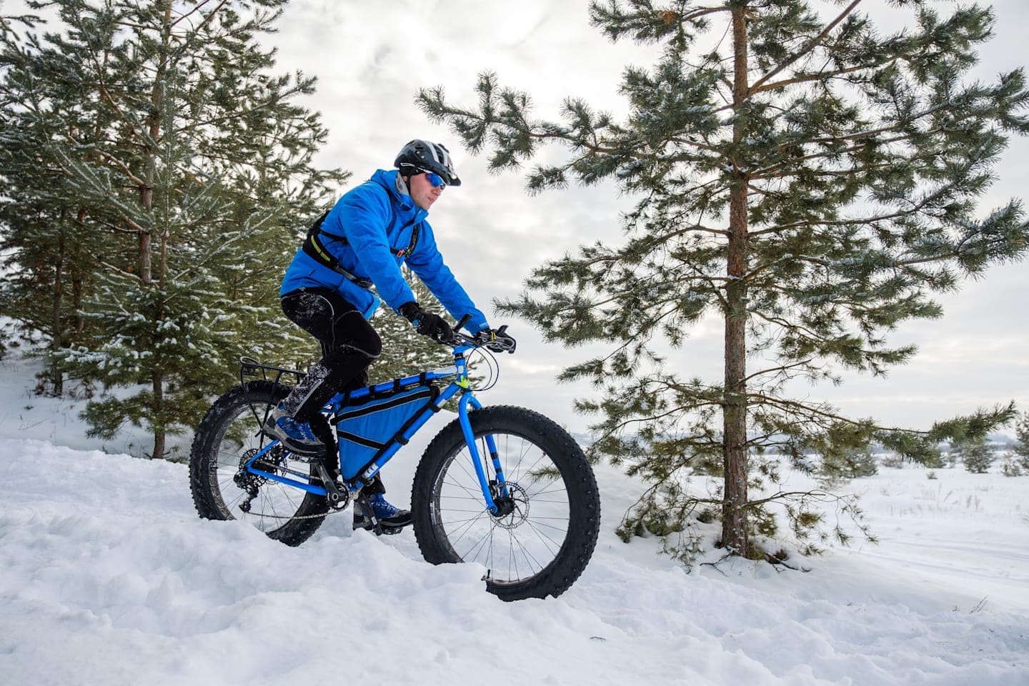 Op een fatbike door de arctische natuur thumbnail