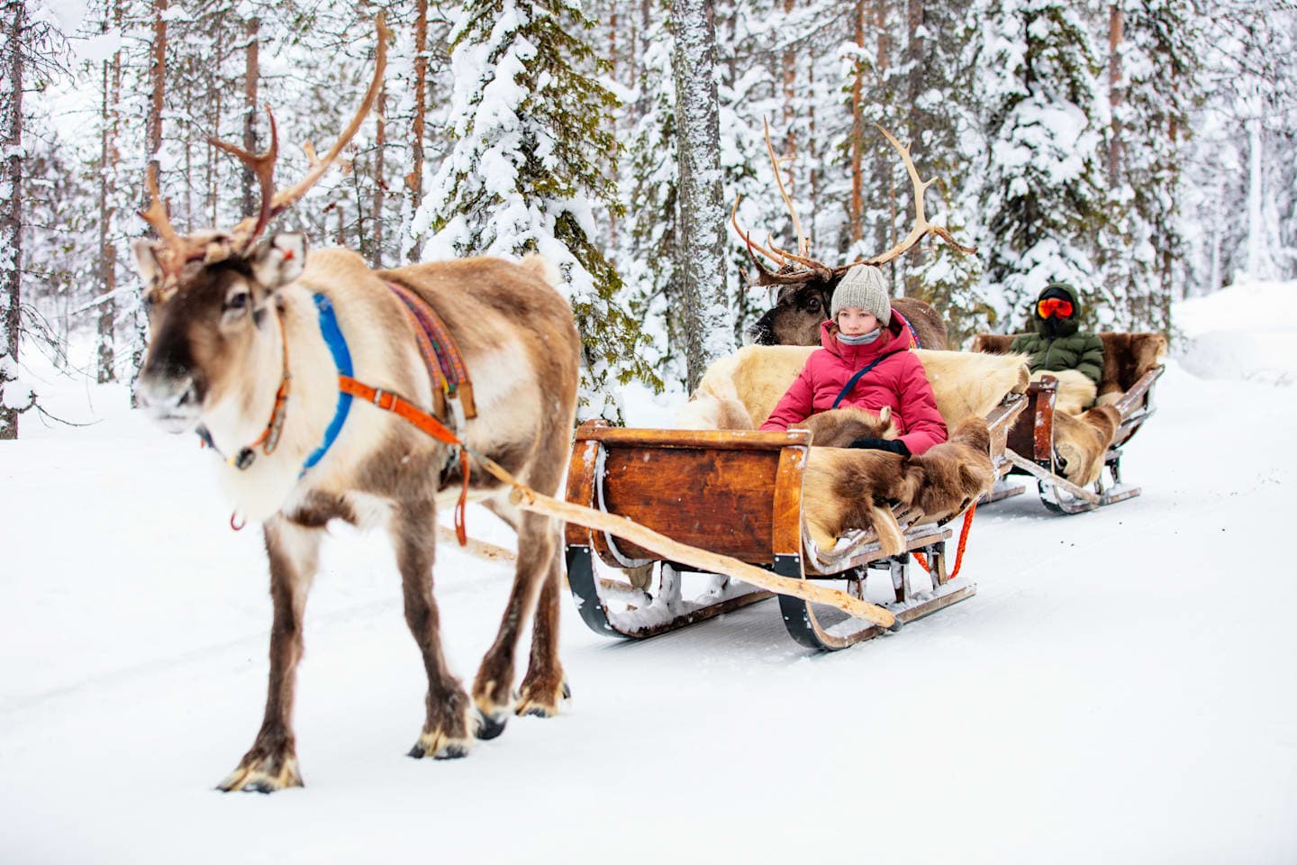 Winterse rendiersafari thumbnail