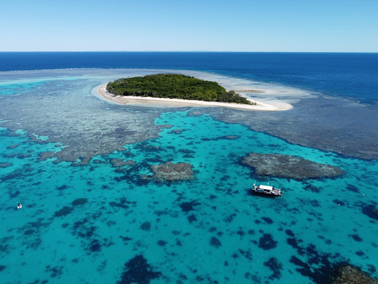 Ganztägige Tour zur unbewohnten Lady Musgrave Island & Schnorchel-Experience thumbnail
