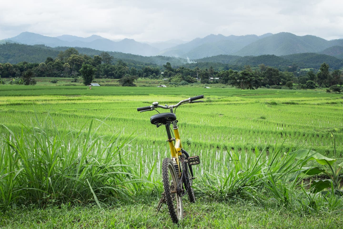 Countryside Bike und Boot Tour am Morgen ab Hoi An thumbnail