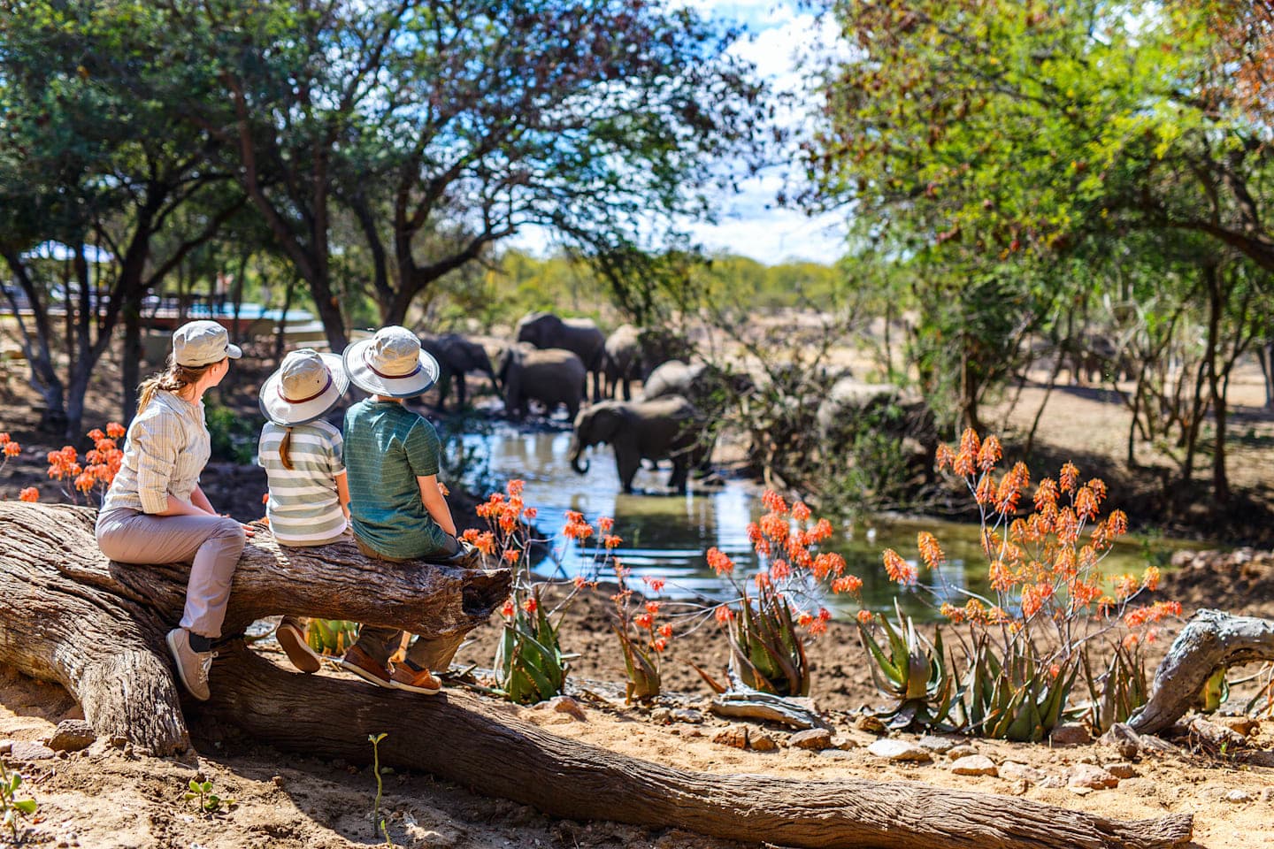 Buschwanderung im Tulia Amboseli Camp thumbnail