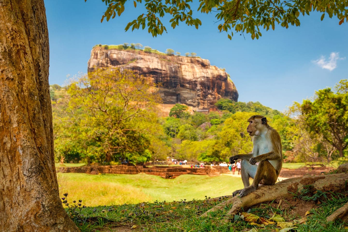 Village Tour in Dambulla & Kandy Visit thumbnail