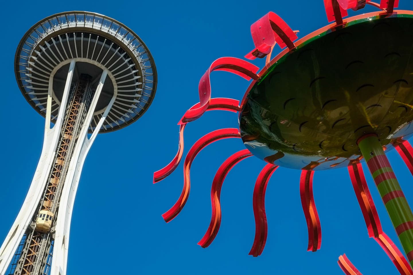 Ticket für das Space Needle & Chihuly Garden and Glass thumbnail