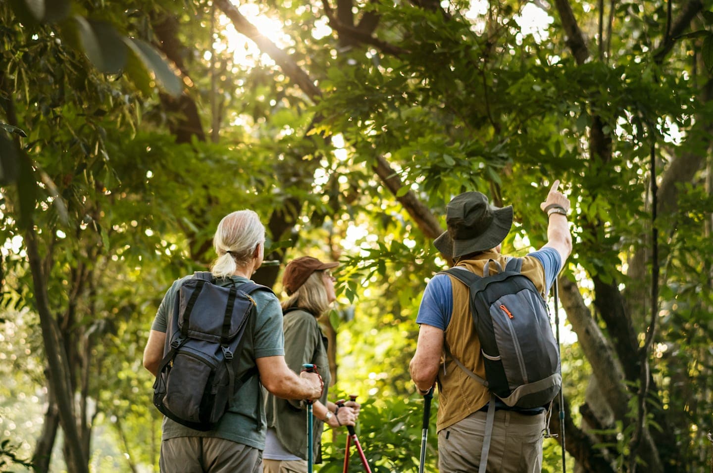 Birdwatching im Regenwald um Malasigi thumbnail