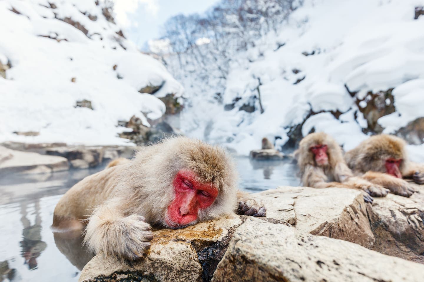 Snow Monkey Pass thumbnail