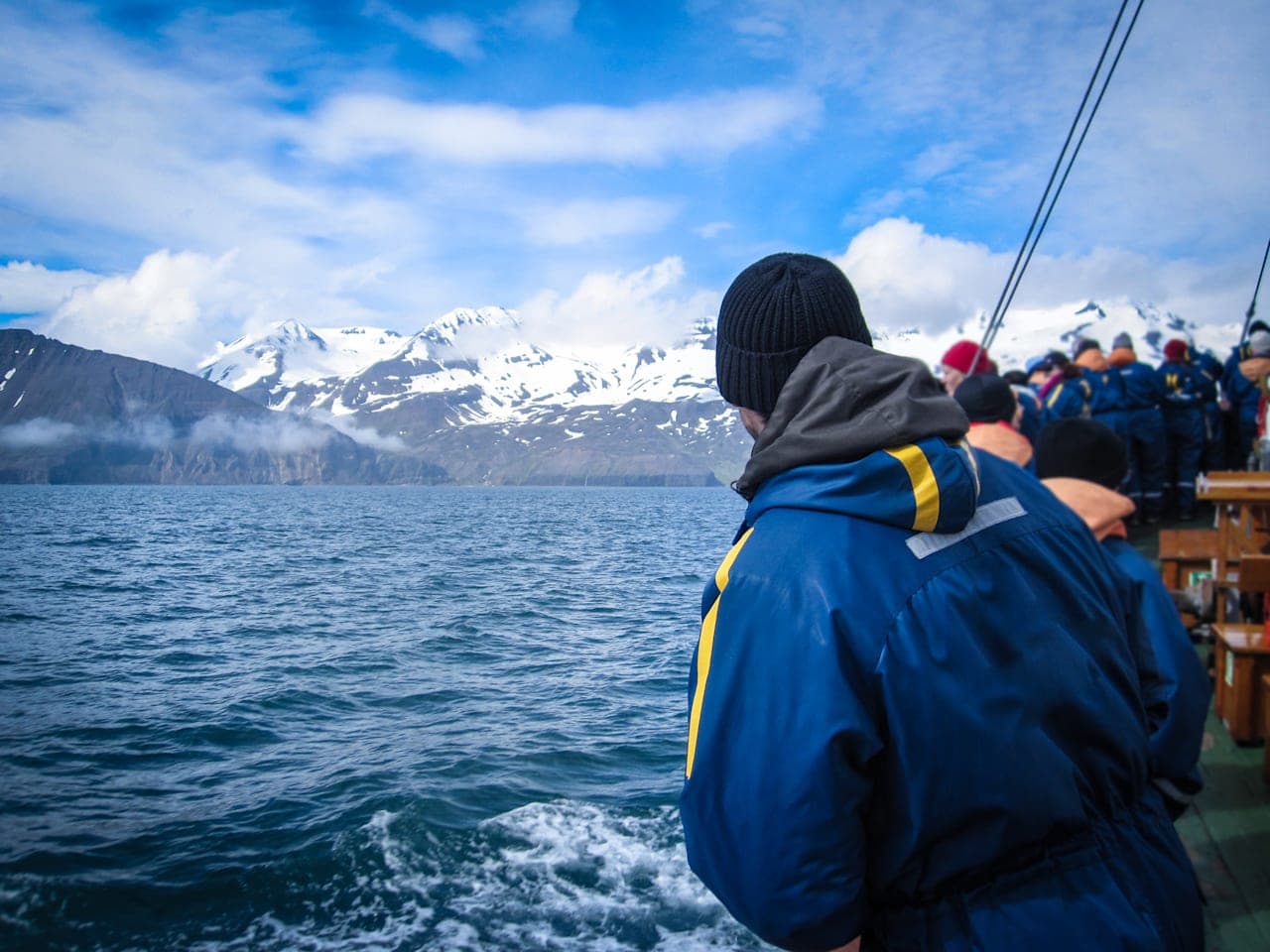 Whale-Watching-Bootsfahrt durch die Faxaflói-Bucht thumbnail