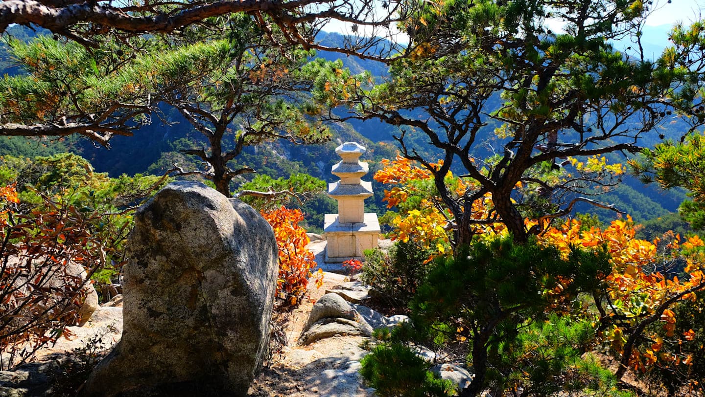 Mindful hike in Namsan National Park thumbnail