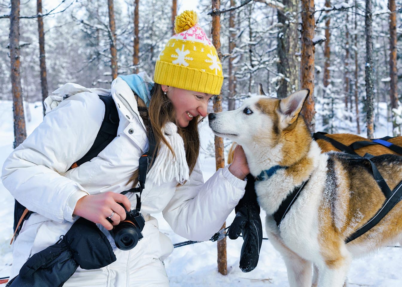 Zu Besuch bei den Huskys thumbnail