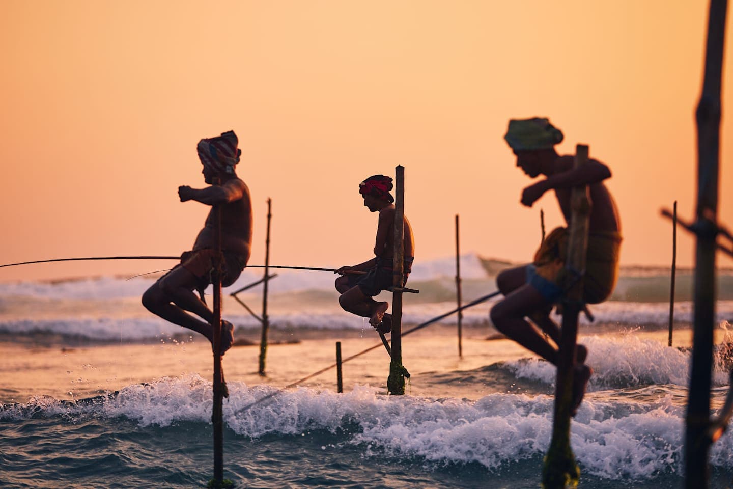 Kusttour van Weligama naar Galle thumbnail