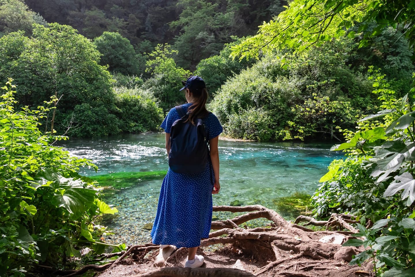 Blue Eye, Gjirokastër & historische Stätten thumbnail