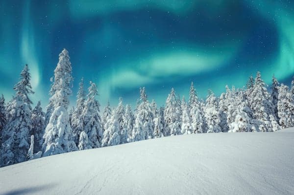 Nordic nights: Aurora lights and Arctic rides