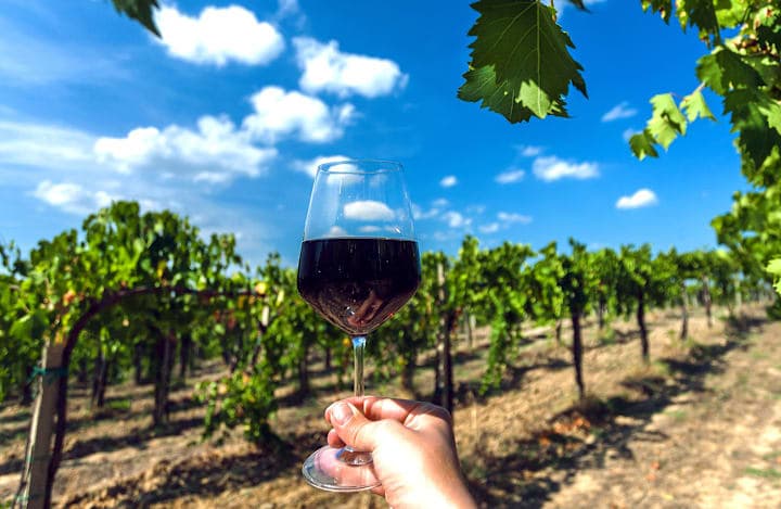 Winelands-Tour mit Weinproben & Essen thumbnail