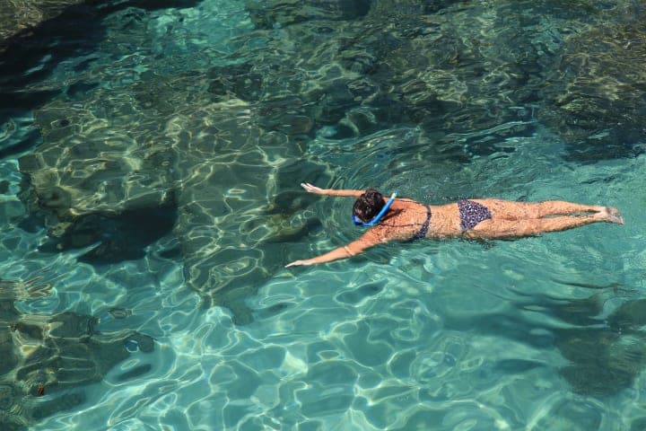 Full-day snorkelling experience thumbnail