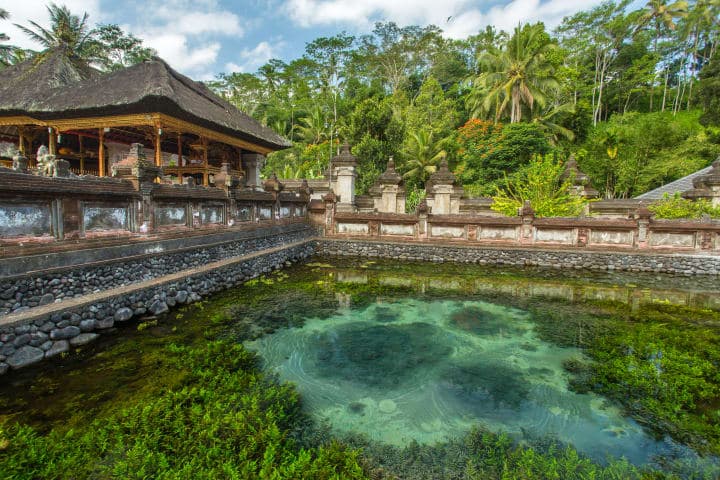 Halbtägige Tour zum Tirta Empul Tempel, Goa Gajah & Monkey Forest thumbnail