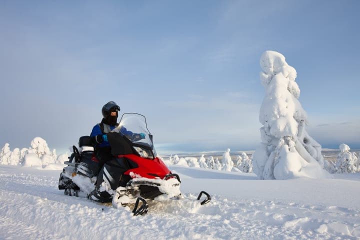 Sneeuwscootertocht naar een rendierboerderij (alleengebruik) thumbnail
