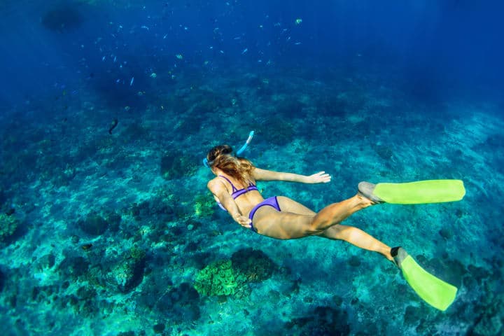Schnorchel-Tour zu den Cham Islands thumbnail