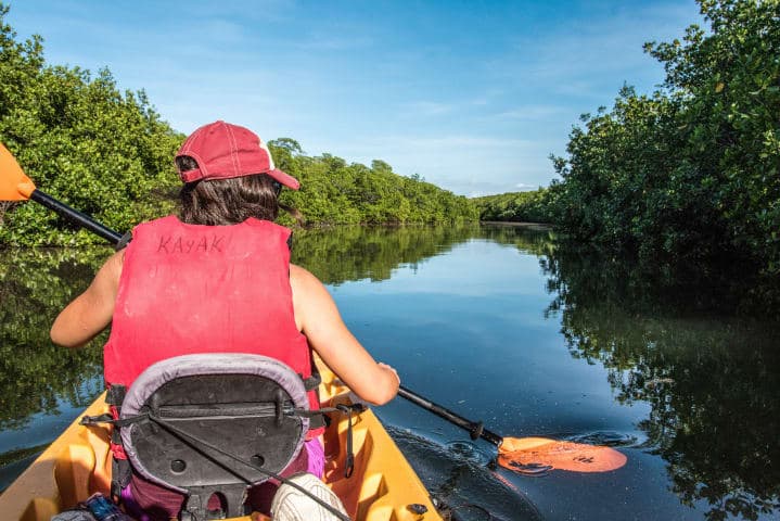 Im Kajak durch den Mangrovenwald von Holbox thumbnail
