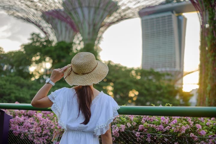 Ticket voor de Gardens by the Bay in Singapore thumbnail